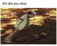 ani-are-okay.jpg