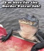 1751481985295.png