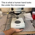 1752027919706.png