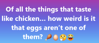1752634937501.png