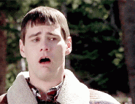 1754248282725.gif