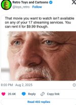 Screenshot_20250804_120715_Chrome.jpg