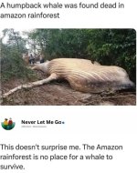 Screenshot_20250807_173807_Chrome.jpg
