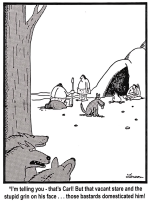 1755915157216.png