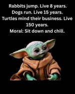 1756084981239.png