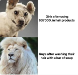 1756555084677.png