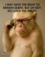 1757034007771.png