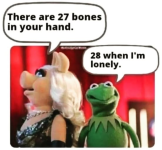 1757374026845.png