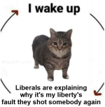 1757703329686.png