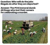 1758116590733.jpeg