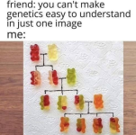 1758507622058.png