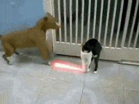 1759522326228.gif
