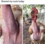 1759612681282.png