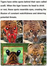IMG_8830.jpeg