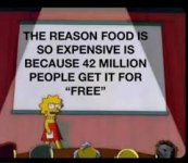 1762534390635.jpeg