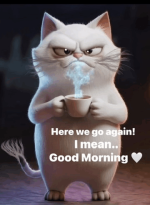1764592282826.png