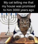 1000008192.jpg