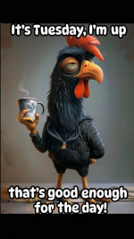 1766492922112.png