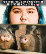 1767837239855.png