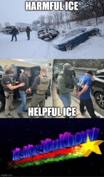 1769139535858.jpeg