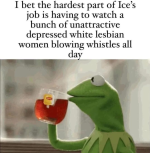 1770307348493.png