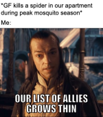 gf-kills-spider-our-apartment-during-peak-mosquito-season-our-list-allies-grows-thin.png