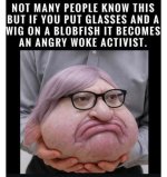 FB_IMG_1770861088229.jpg