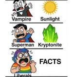 1772050130141.png
