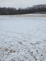 20260226_075556.jpg