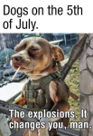 1593991928593.png