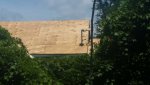 20200708_121427.jpg