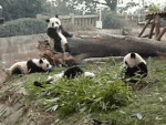 AF378270-9392-4D26-AA17-14BF631C58A9.gif