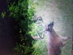 20200802_135745.jpg