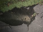 AB0D2249-1175-461D-9855-B8409B632C8D.jpeg