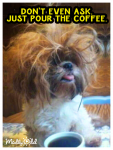 46B96D38-40B2-478C-A991-F1190E753523.png