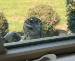 20201005_213439.jpg