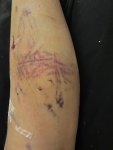 3B112337-D933-4E50-B070-9C6687665429.jpeg