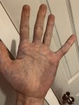 0433467C-7D3D-4857-8F4E-C255ADDF2790.jpeg