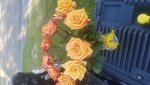 20201012_163315.jpg