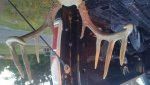 20201019_175456.jpg