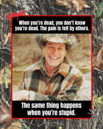 1773101263117.png