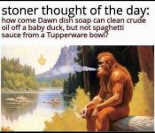1774975729677.jpeg