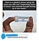 1778536863411.png