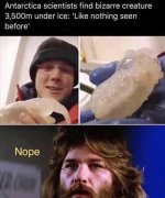 antarctica-scientists-find-bizarre-creature-3500m-under-ice-like-nothing-seen-before-nope.jpg