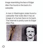 has-an-image-human-face-on-its-back-internet-is-pretty-sure-its-edgar-allan-poe-ig-unexplained...jpg