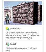 other-hand-librarian-and-this-shelving-is-horrifying-well-no-shelving-system-is-without-fault-...jpg