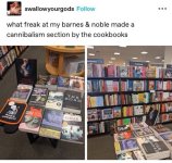 ekbor-cormac-mccarthy-road-dan-simmon-hunger-alma-katso-cockbooks-hunger-cormac-carthy-road.jpg