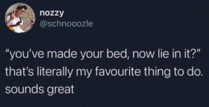nozzy-schnooozle-made-bed-now-lie-s-literally-my-favourite-thing-do-sounds-great.png