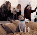 1779916308058.gif