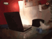 1779927416510.gif